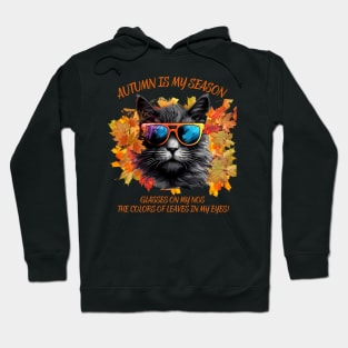 Autumn Is My Season Glasses On My Nose The Colors Of Leaves In My Eyes Cat Lovers Gift Hoodie